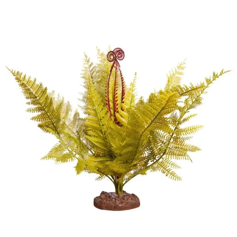 Reptile One Green Eagle Fern with Base
