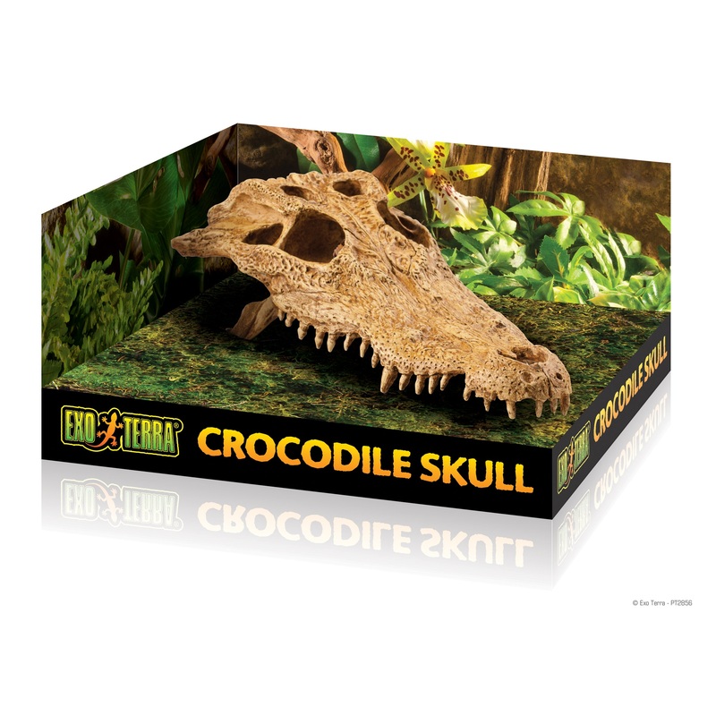 EXO-TERRA Crocodile Skull