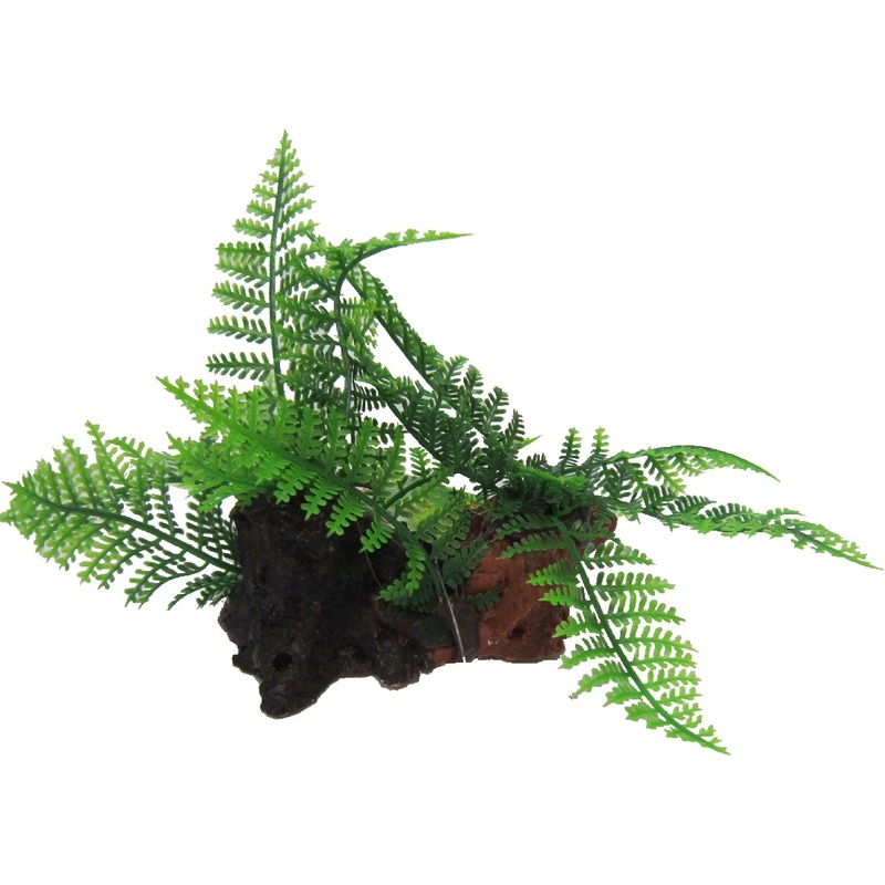 FAUNA – AQUA DEKORE TWIN FERNS ON LOG