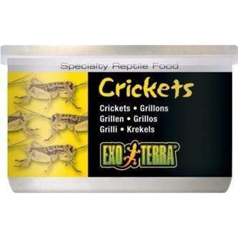 Exo Terra Canned Food 34g Crickets