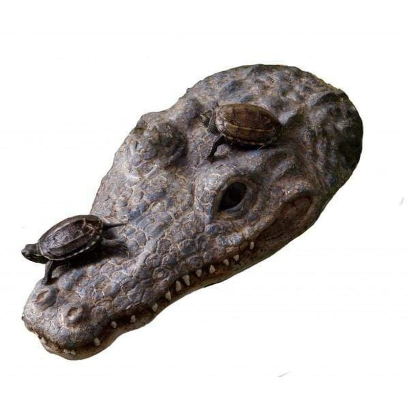 Exo Terra Turtle Island – Croc