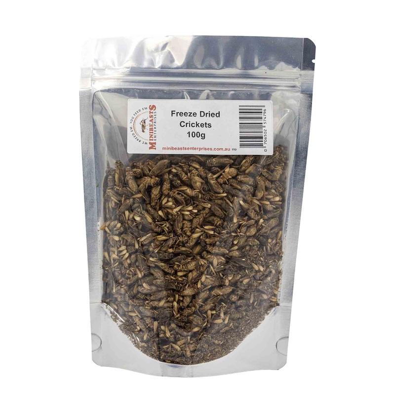 Minibeasts Freeze-Dried Crickets 100g