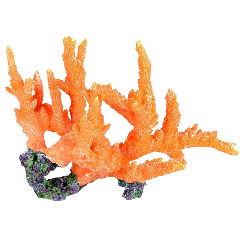 Branch Coral – Orange Show