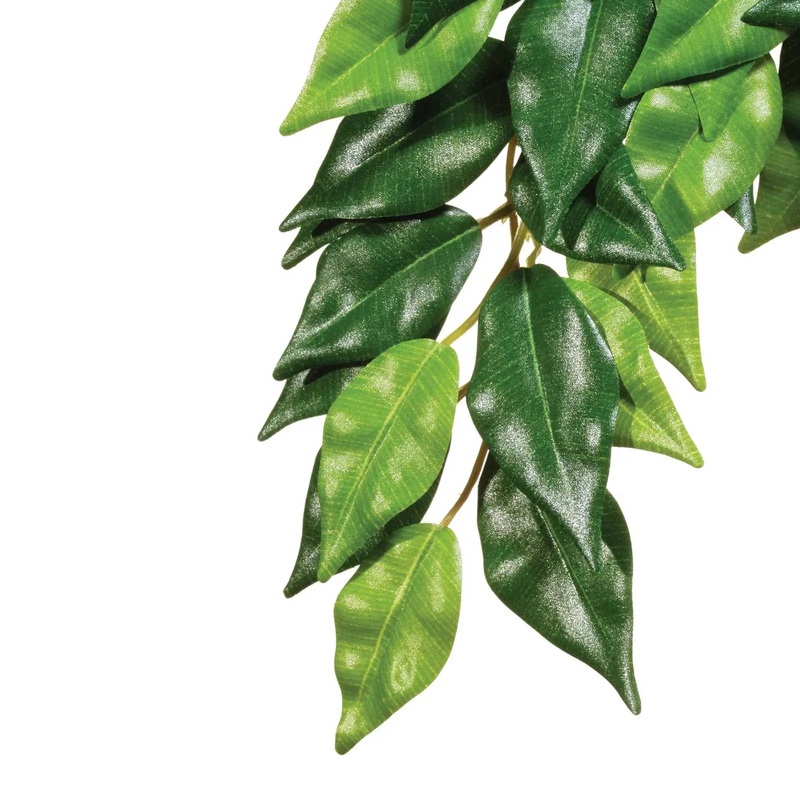 Exo Terra Plant Hanging Ficus
