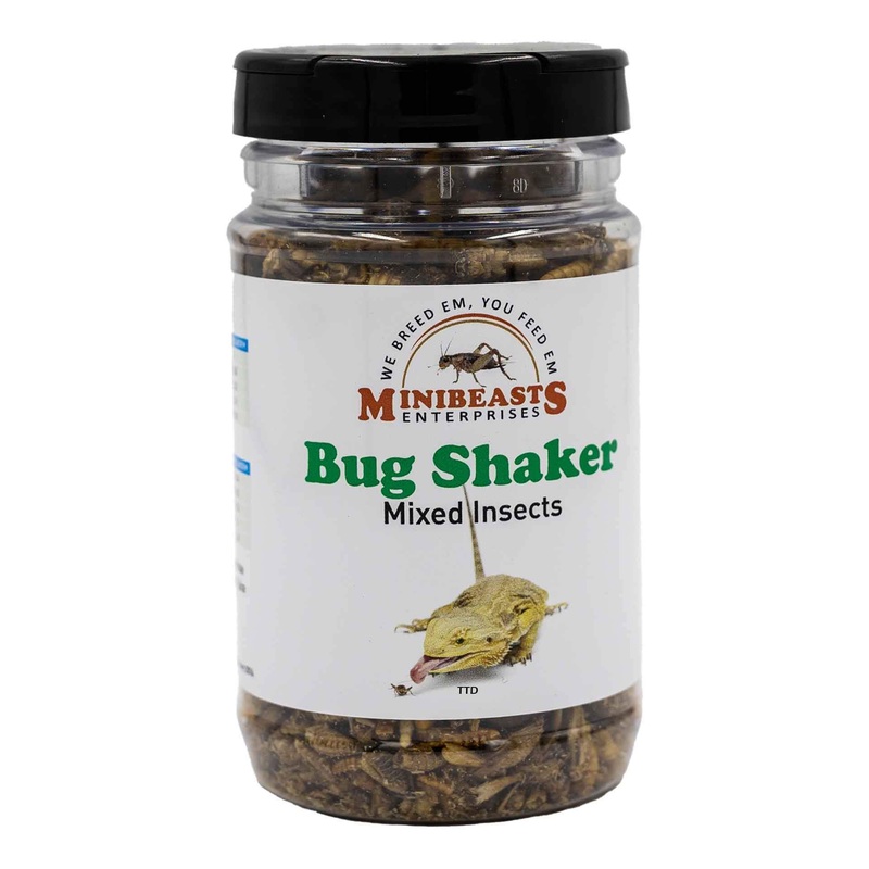 Minibeasts – Bug Shaker- Mixed Insects
