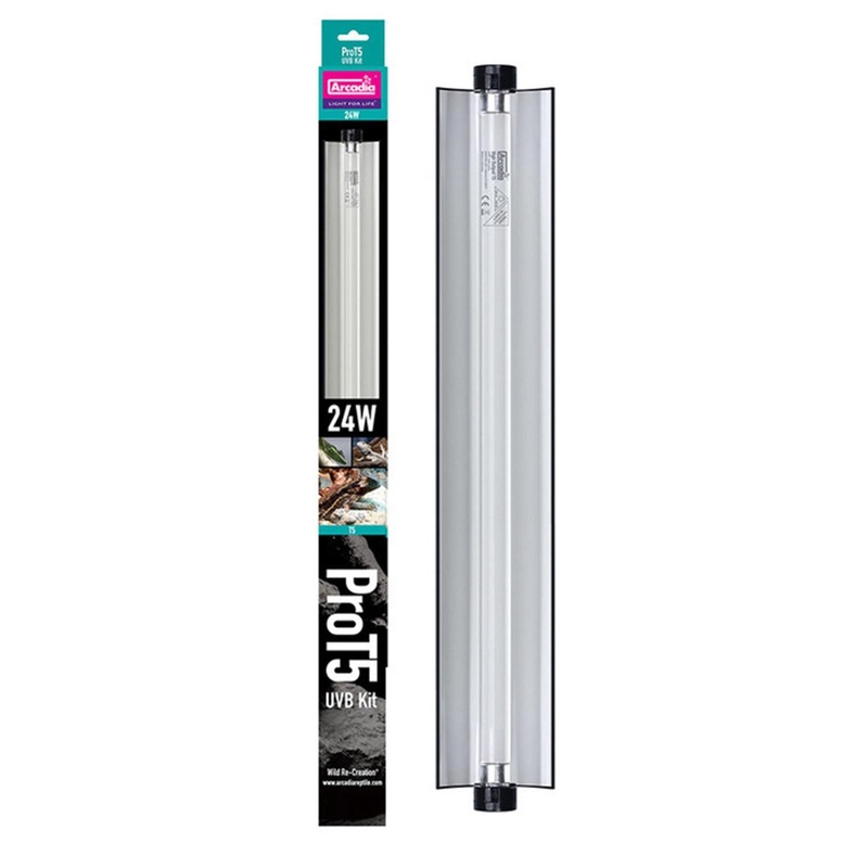 Arcadia PRO T5 Dragon UVB Kit 14% UVB