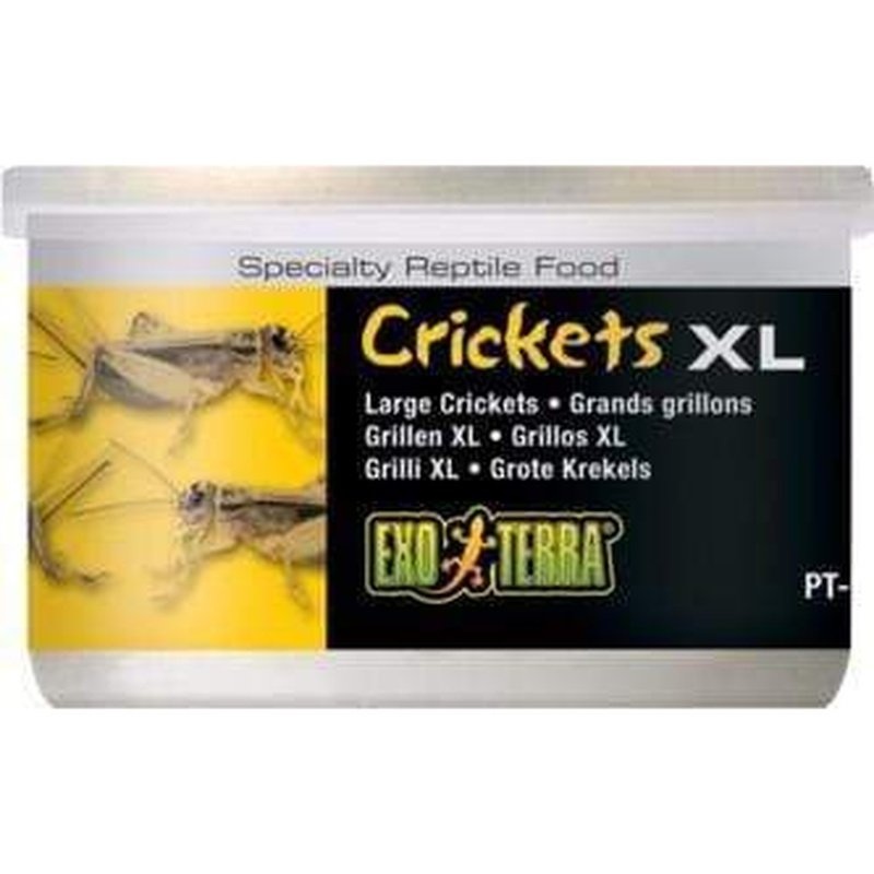 Exo Terra Canned Food 34g XL Crickets