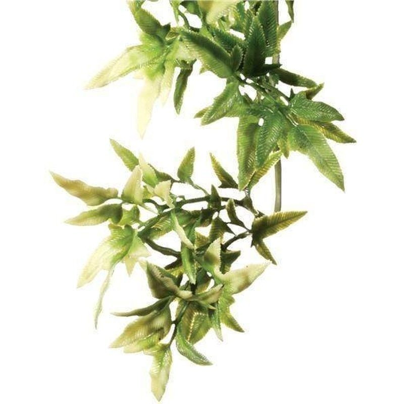 Exo Terra Hanging Forest Plants Croton