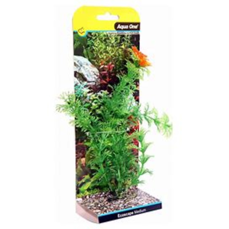 Aqua One Ecoscape Ambulia