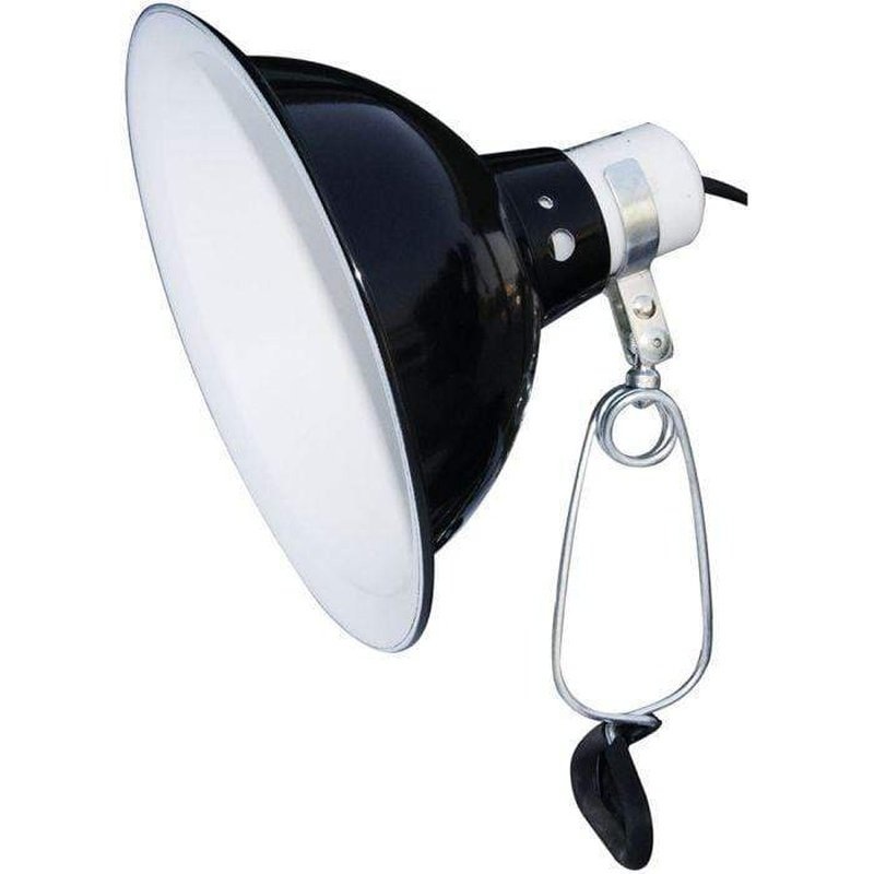 Komodo Dome Clamp Lamp Fixture