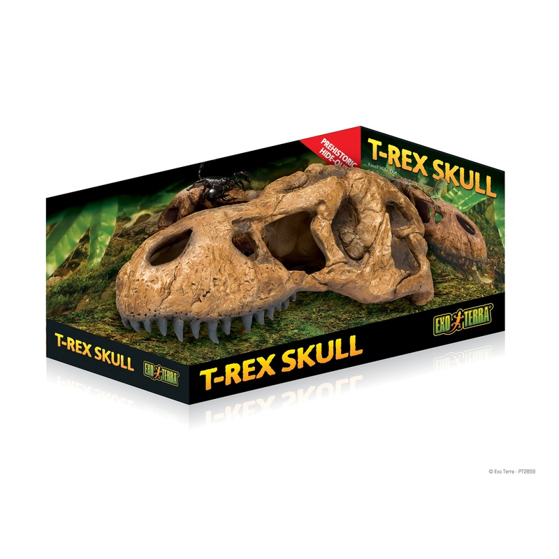 EXO-TERRA T-Rex Skull
