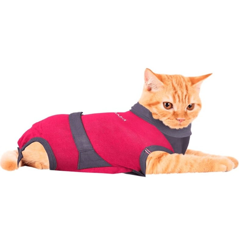 MAXX Cat Post Surgery Suit 3XS