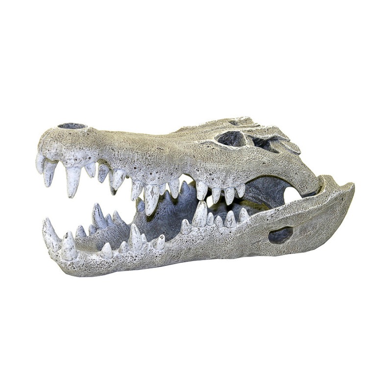 Nile Crocodile Skull Aquarium Ornament
