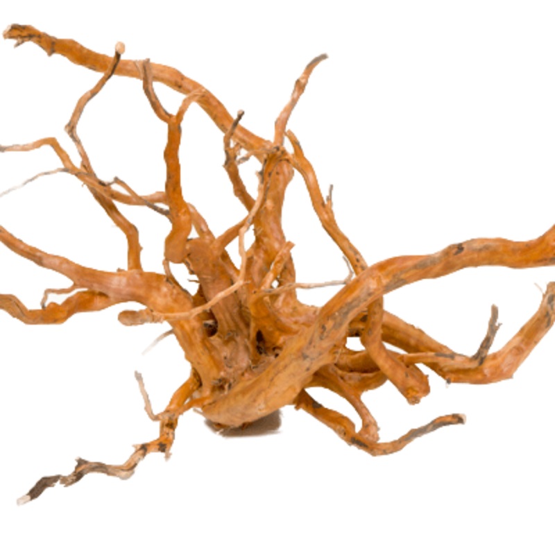 Aqua Premium Wood Root Large 40-50cm – in store pick up only