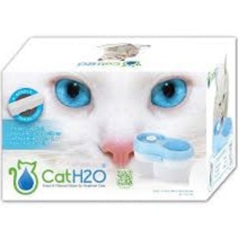 CH010-Blu Cat Fountain