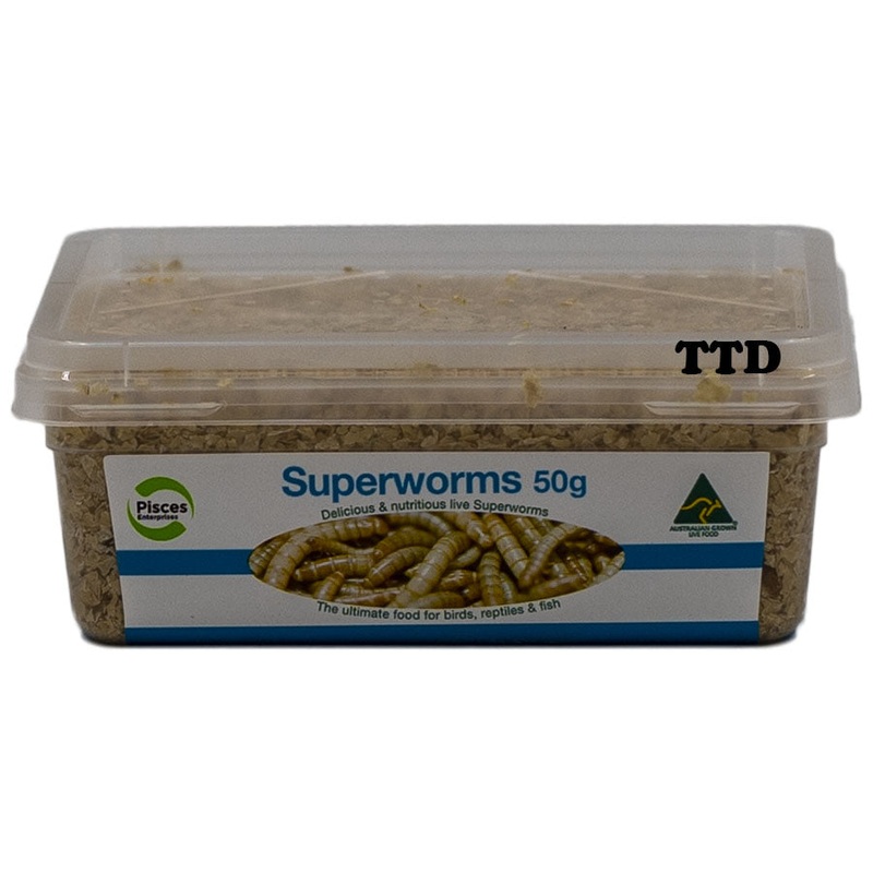 Pisces Superworms – 50g Tub – Live Food – In Store Pick Up Only