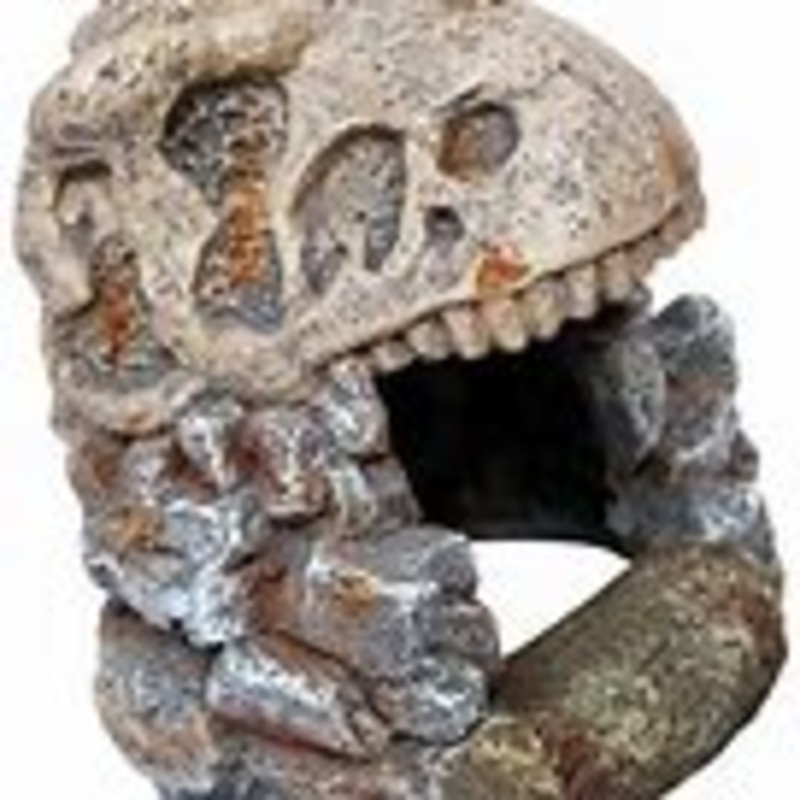 Aqua One Ornament Dinosaur Skull Cave