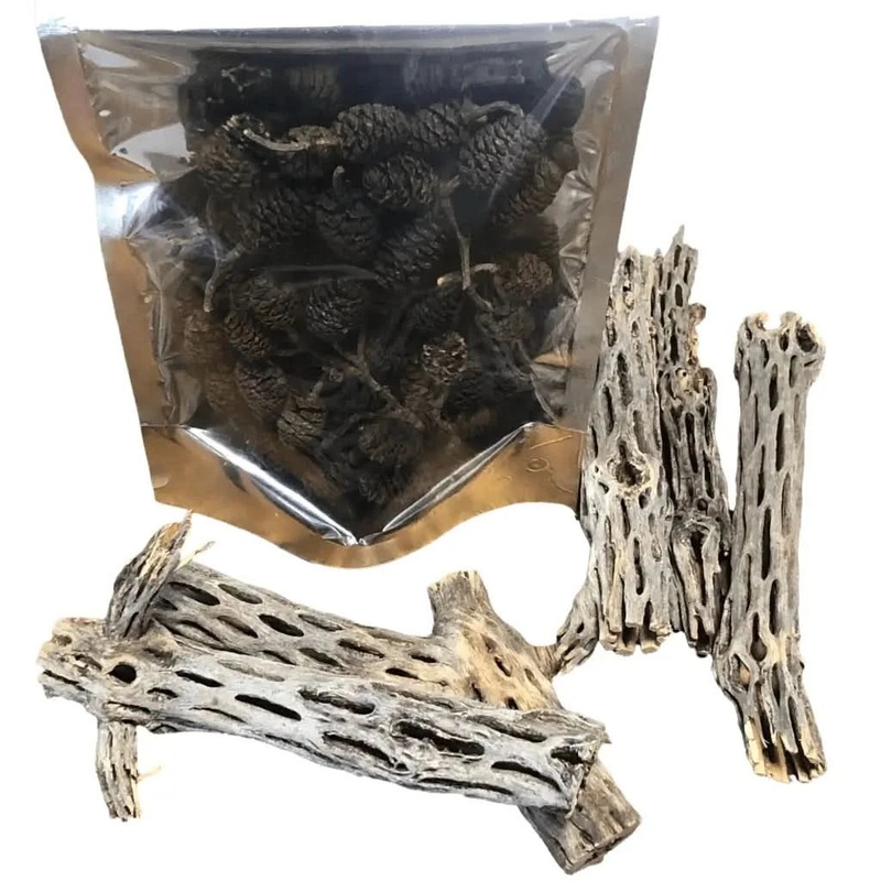 5x Cholla Wood + Pack of Alder Cones 12pcs