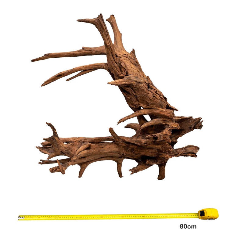 Aqua Natural Wizard Driftwood Jumbo 80cm – Instore Pick Up Only