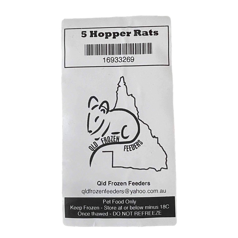 Frozen Feeder Rat – Hopper – 5 Pack – Frozen Food – In store Pick Up Only