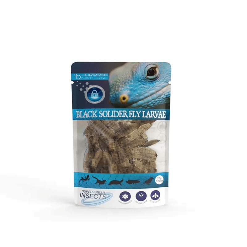 Jurassic Natural Super Fresh Insects Black Soldier Fly Larvae 20g