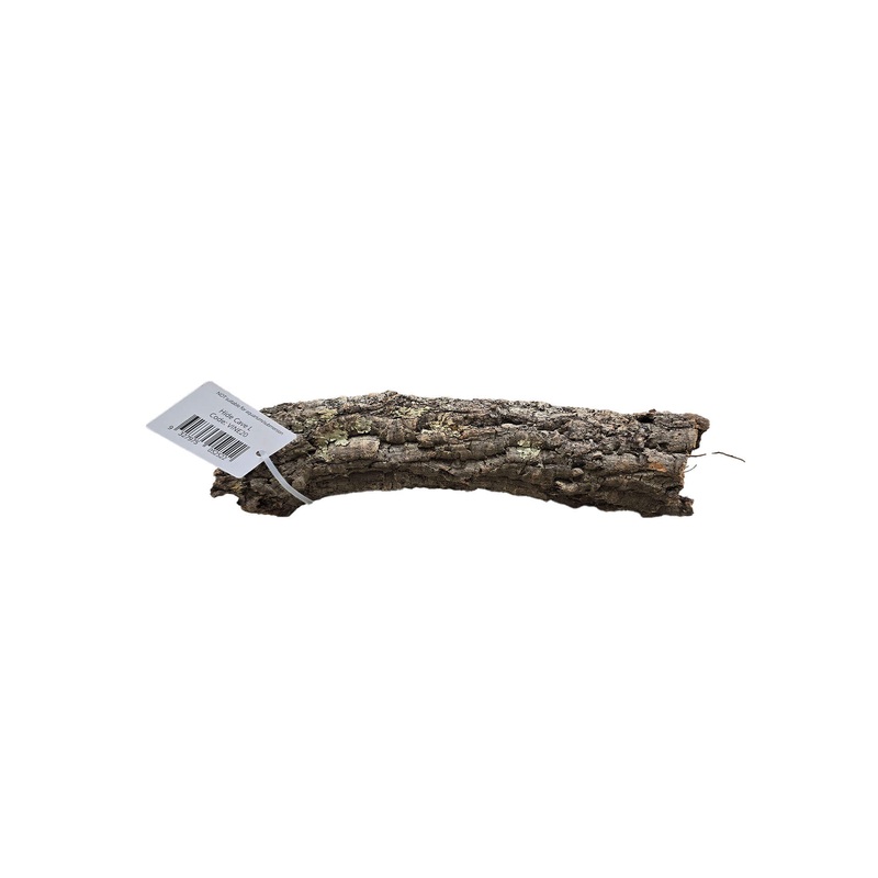 Bioscape Hide Cave M Diameter 6-7cm 30-40cm Length