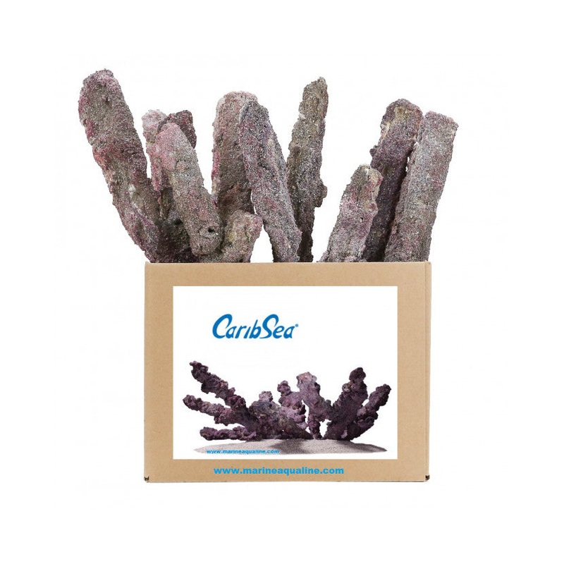 Caribsea Liferock Belize Branch | 20 Lb