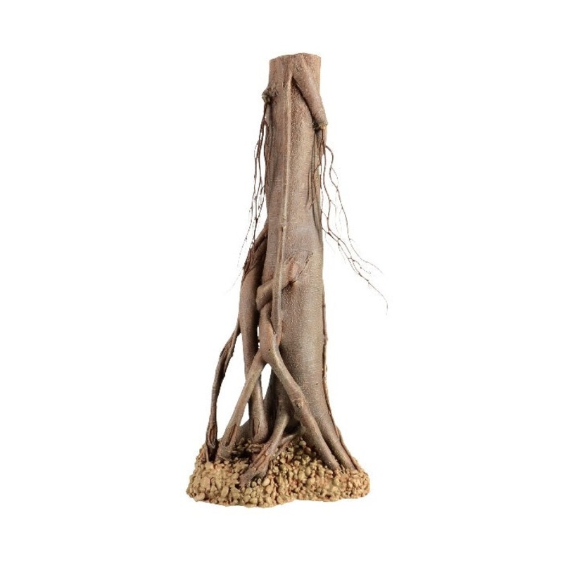 Underwater Treasures Mangrove Root