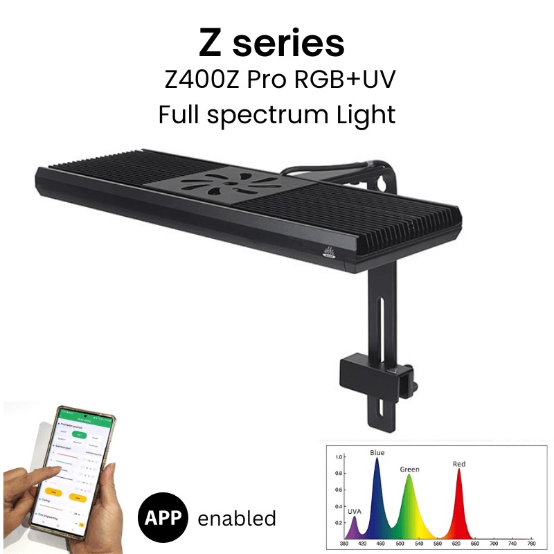 Week Aqua Z400Z Pro light (Standard Style) (stand included)