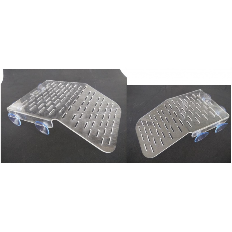 ANS Turtle Island M (28x13cm)