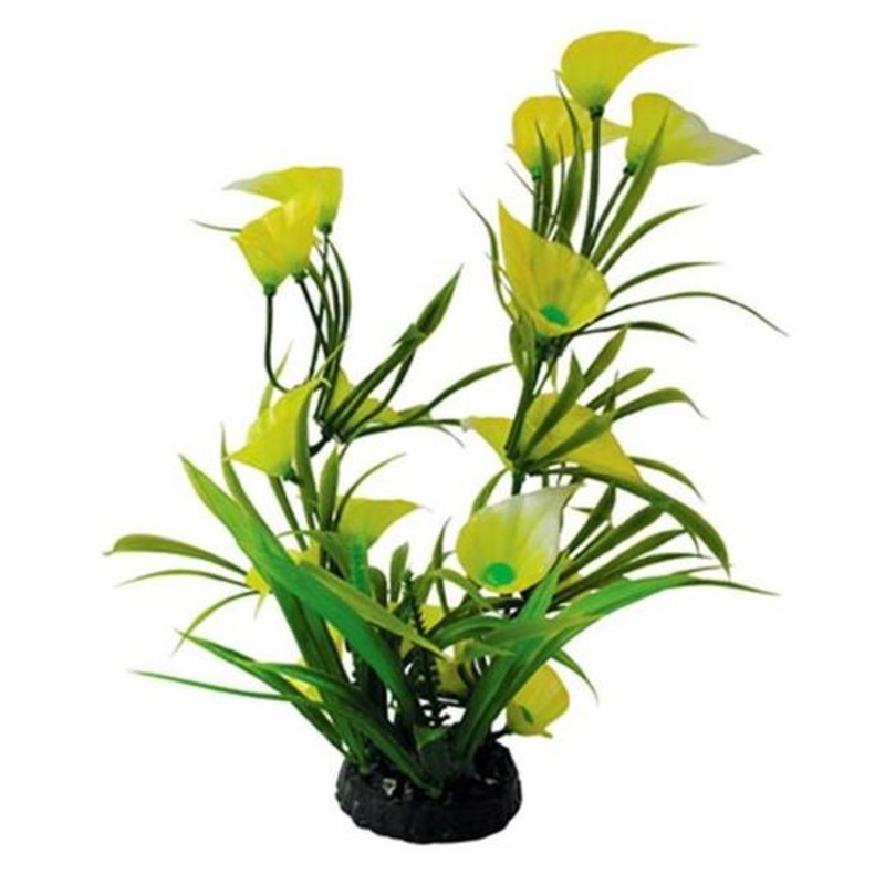 Petworx Bunch Plant Lily – 6in