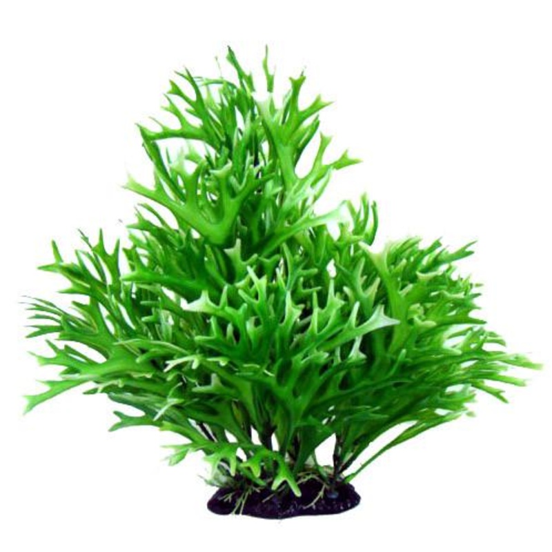 Petworx Bushy Plant Water Sprite – 13in