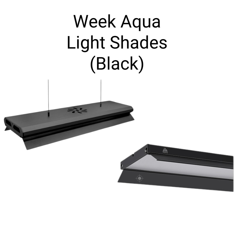 Week Aqua – Light Shades Black (V/M/L/P – Series) (1 pair/box)