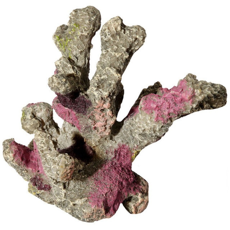 Ornament Live Rock sml