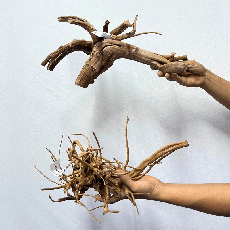 ANS Branchy Driftwood  L (36-45cm)