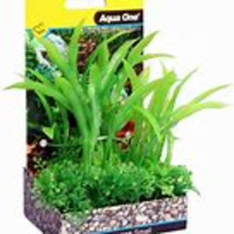 Aqua One Ecoscape Small Crinum