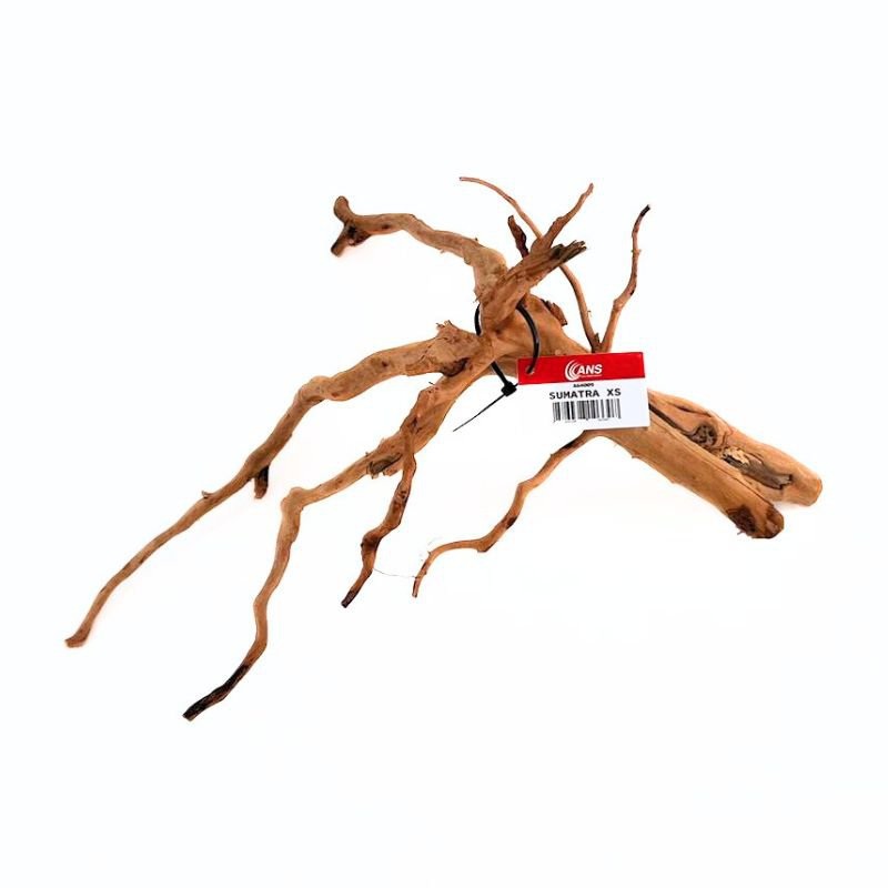ANS Sumatra Driftwood (various size)