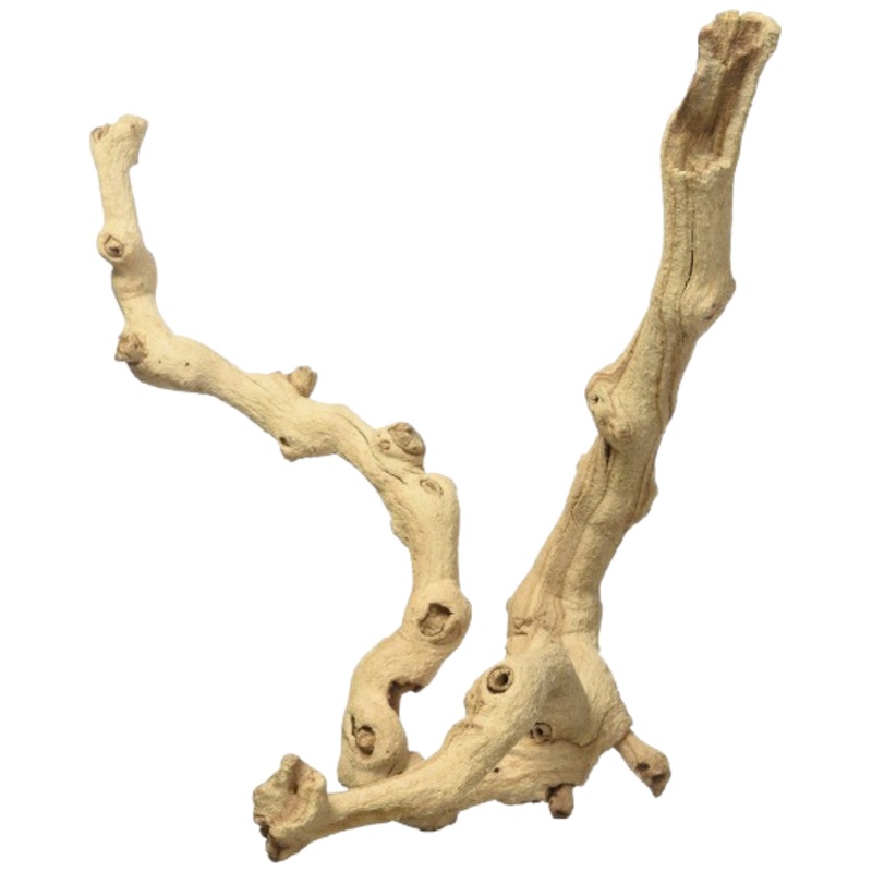 Zoomed: Sand Blasted Grapevine