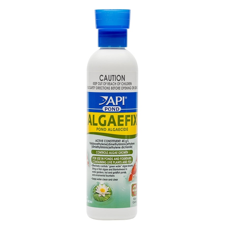 API Pond Algaefix 237ml – Algae Control