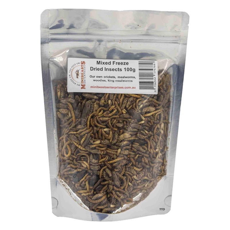 Minibeasts Mixed Freeze dried insects 100g