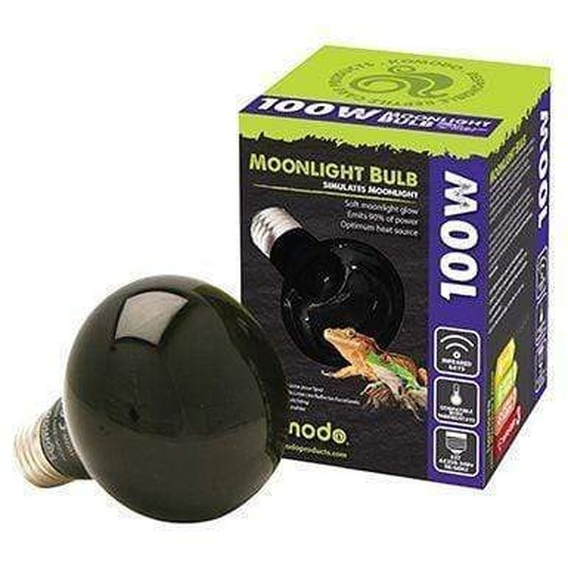 Komodo Moonlight Bulb