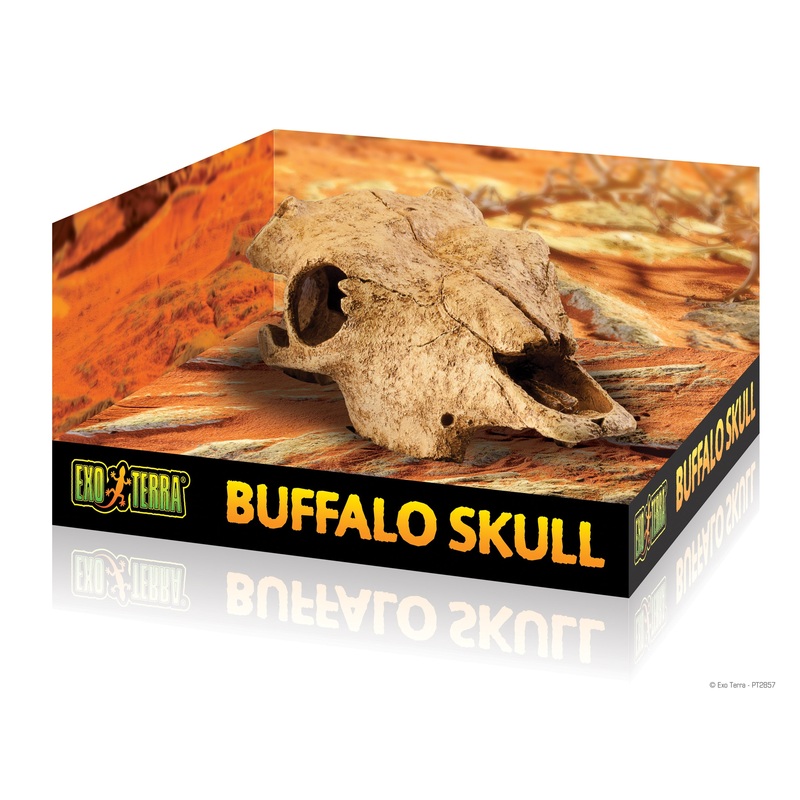 EXO-TERRA Cattle Skull