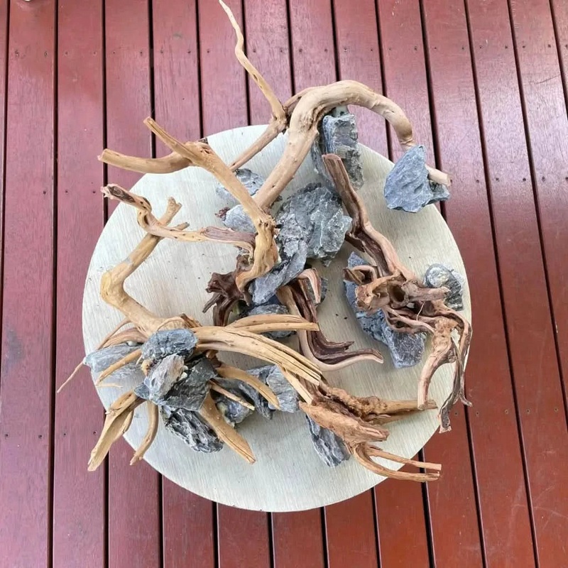 (1 pcs) Assorted Spiderwood on Seiryu Rock