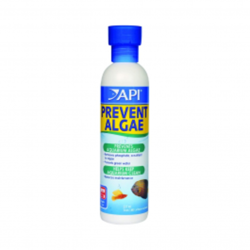 API Prevent Algae