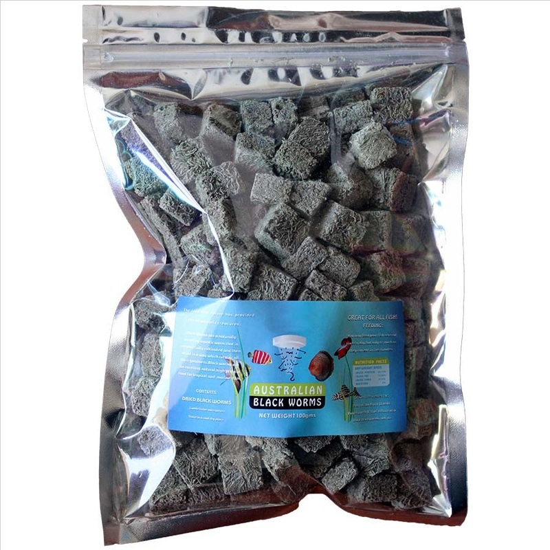 Australian Black Worms 100g Cubes – Freeze Dried